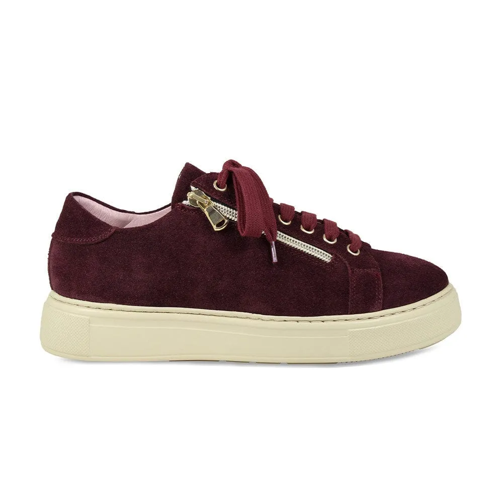 Feather: Burgundy Suede