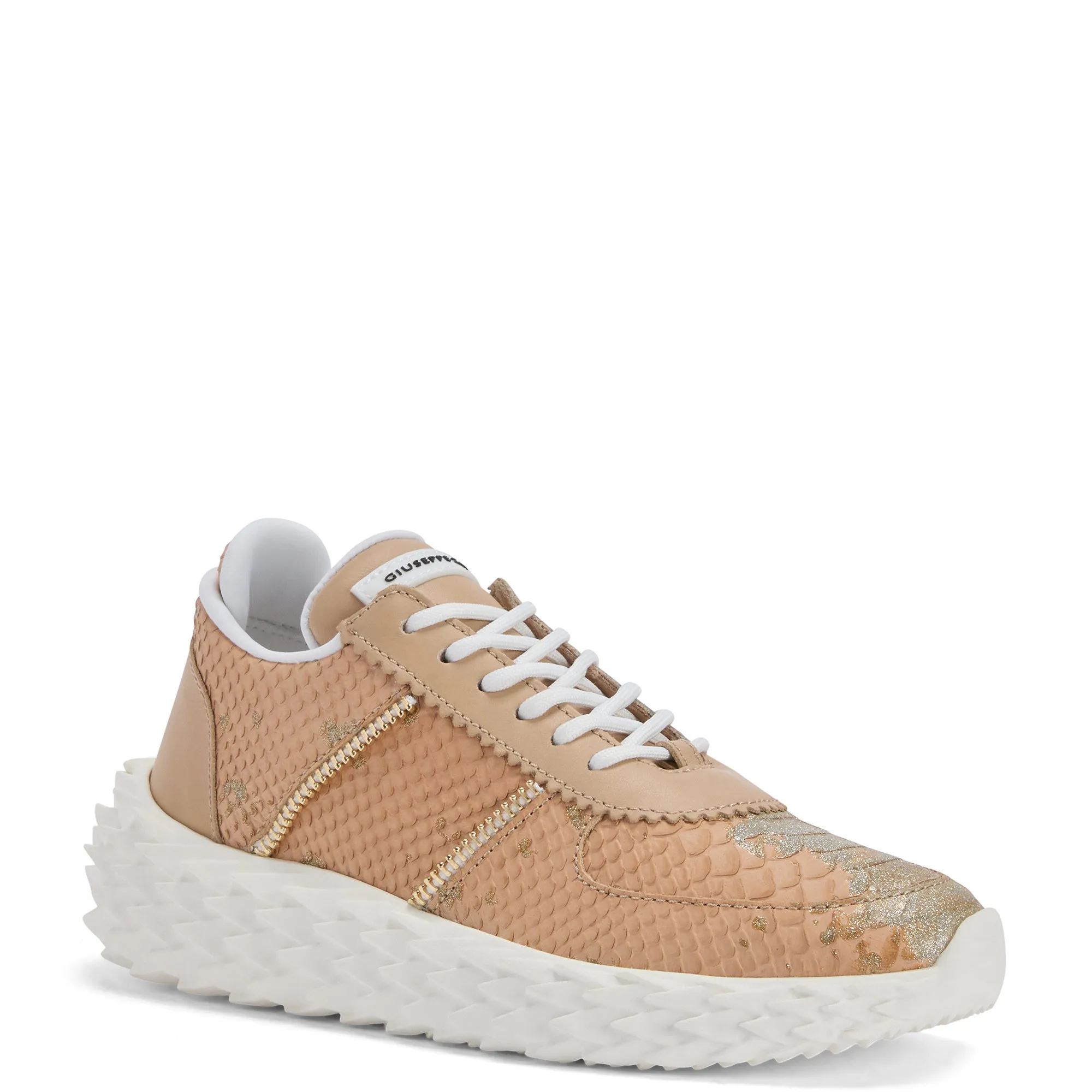 Giuseppe Zanotti Urchin