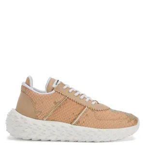 Giuseppe Zanotti Urchin